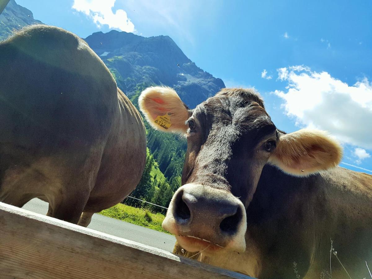Gasthof Auerhahn Lech am Arlberg Bagian luar foto